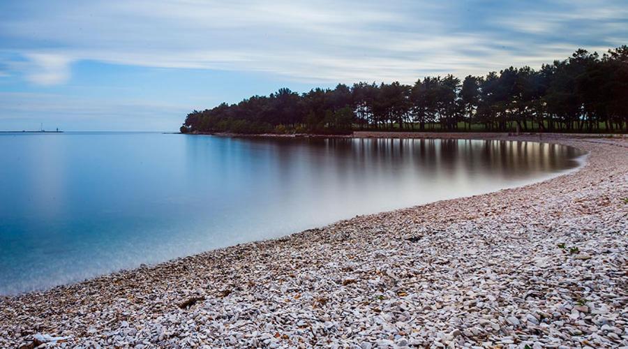 Apartman Ivo Daire Novigrad Istria Dış mekan fotoğraf